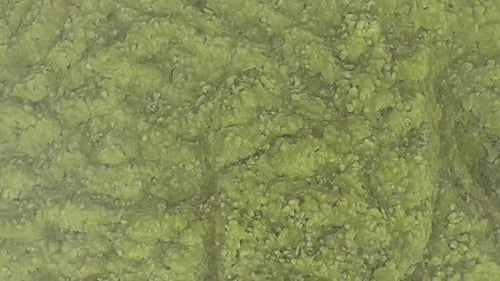 Aerial View of Eldhraun Lava Field, Iceland, Flying with Drone Above Mossy Geological Lava Flows