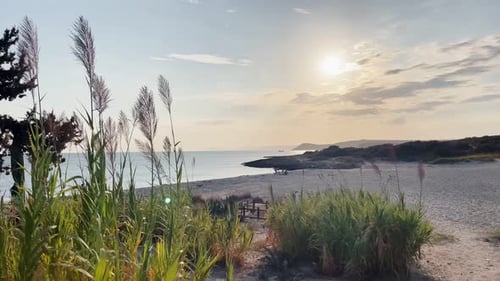 Peaceful Scenery of Beach during Sunset and a Breeze of Wind in Summer