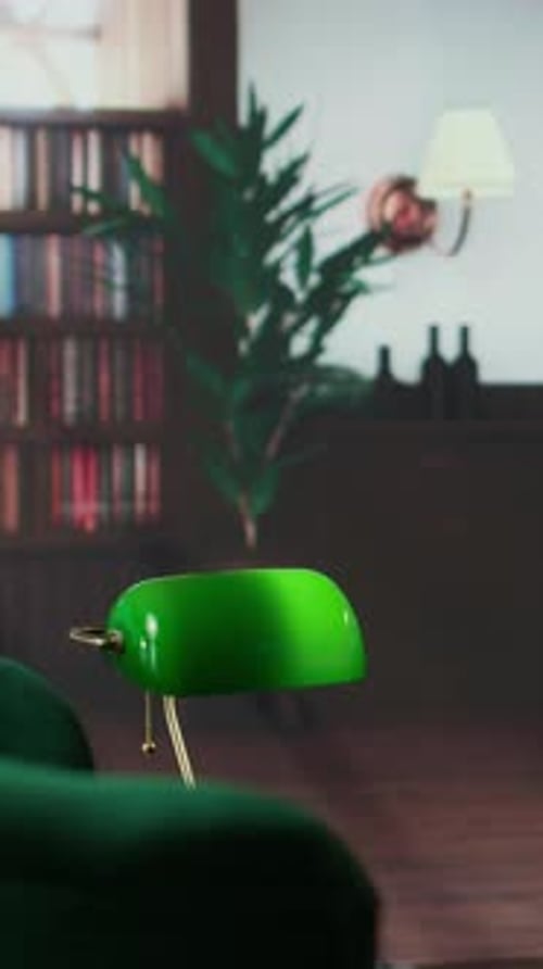 Vertical Video Inviting Therapy Space with Plush Green Chairs and Wooden Bookshelves