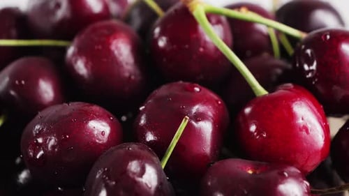 Ripe cherries close up. Concept of harvest season.