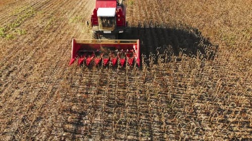 Aerial Shot of a Moving Combine Harvester Collecting Sunflower Seeds in Autumn