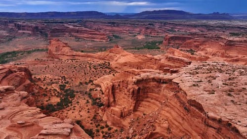 Atemberaubende Landschaft der Wüste mit zahlreichen Canyons. Einige Sträucher wachsen in der Landschaft.