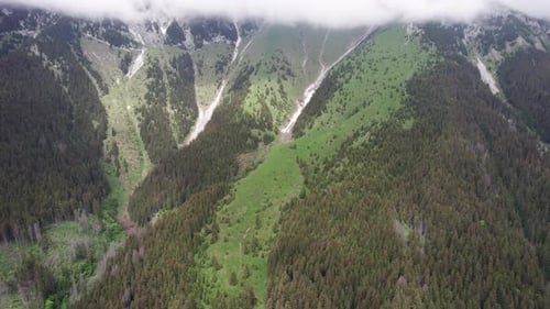 Lush green mountain slopes with dense forest under overcast sky, aerial view