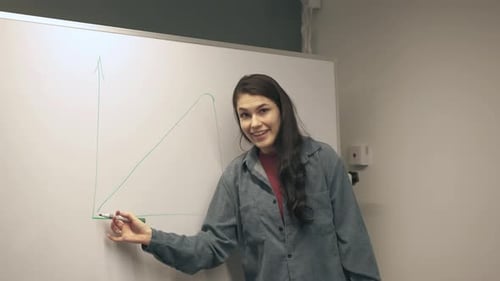 girl holds a lecture, business meeting, strategy analysis