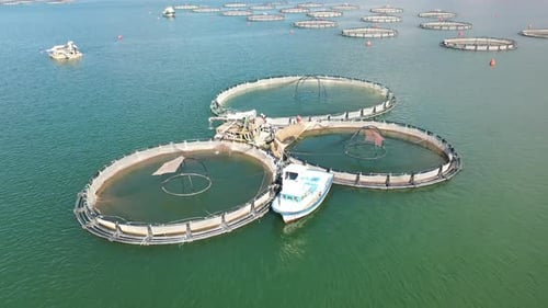Aerial View Of Fish Ponds In The Dam Lake And Boat In The Lake
