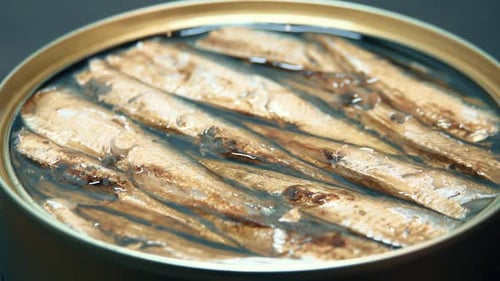 Canned Sardines in Oil Close Up