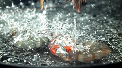 Shrimp Splashes Fall Into the Water Filmed on a Highspeed Camera at 1000 Fps