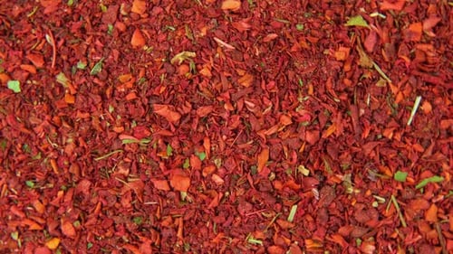 Close Up of Colorful Dried Spice Mix