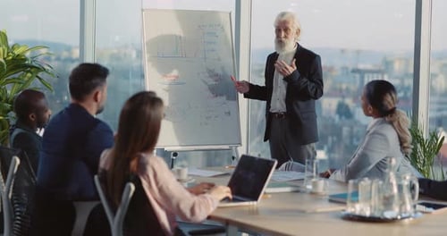 Bearded Old Edlerly Professional Manage Presenting Predsentation Financial Project for Younger