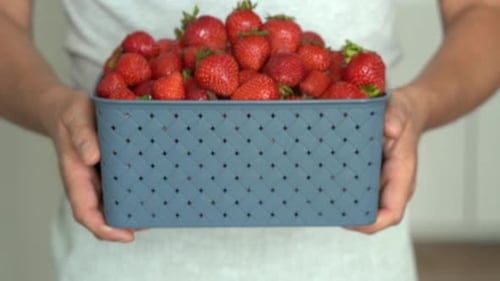Farmer Hands Hold Basket with Fresh Strawberry Summer Berry Harvest Food