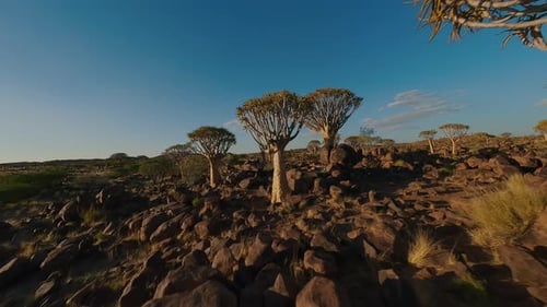 Drone View of the Beautiful Nature of Namibia