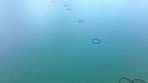 Fishing Cages for Breeding Fish in Lake in Mountain Valley of Rhodope Mountains Under Cloudy Sky