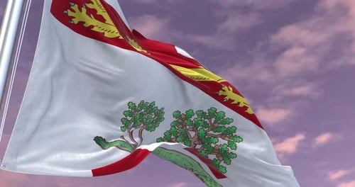 Animation mit der Flagge von Prince Edward Island Minimales Unternehmensvideo