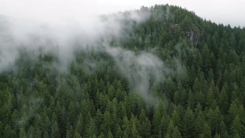 Aerial View of Beautiful Mountain Landscape Fog Rises Over the Mountain Slopes
