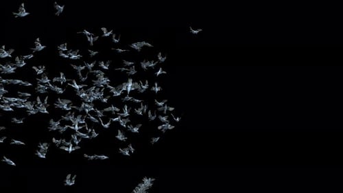 Abstract Geometric Bird Flock Flying Transition