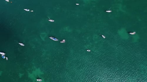Top Down View of Sailboats Anchored Off Shore Aerial