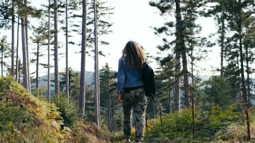 Woman Hiking in Forest in Autumn. Active health. Female traveler walks along forest , rear view. lei