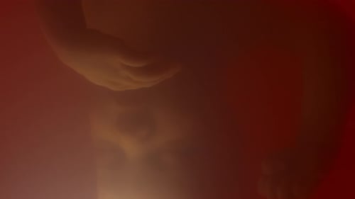 Abstract Underwater Figure on Red Background