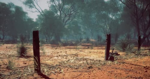 Desert Landscape with Weathered Posts and Sparse Vegetation During Dawn
