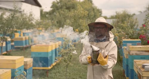 Bee Keeper Dressed in Protective Suit and Gloves Using a Smoker