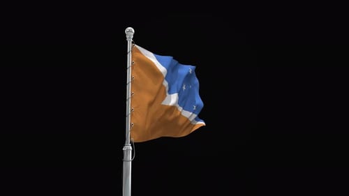 Realistic Waving Flag On A Pole Loop