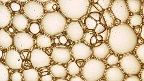 Transparent Cosmetic Gel Fluid with Molecule Bubbles Oil Distribution Bubble Cluster Cells Under a