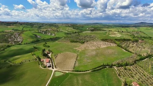 Tuscany Aerial Landscape with Olive Trees Italy