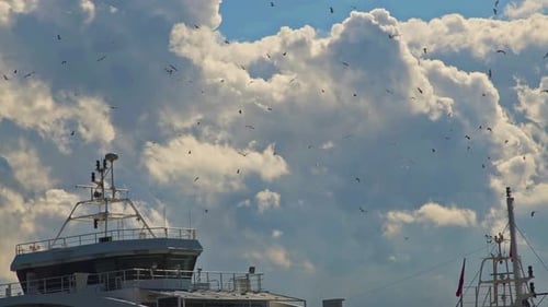 Möwen fliegen über Schiffsmasten im bewölkten Himmel