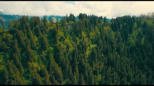 Top View of Mountains with Green Forests 4K