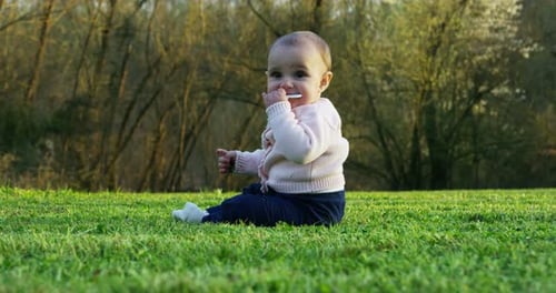 adorable girl a year free and happy crawling on a lawn in the open country looking into camera in