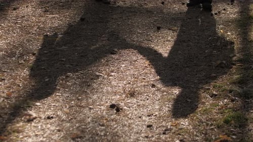 Shadows of a Couple Holding Hands While Walking Along a Forest Path During Autumn