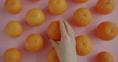 Oranges Arranged on Pink Background with Sliced Fruit