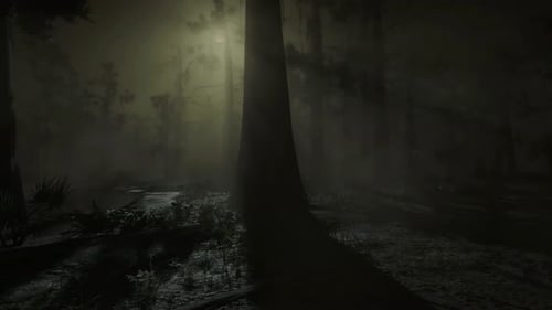 Horror Scene in the Forest, Mystical Trees, Dark Night, Scary in the Fog, Moonlight