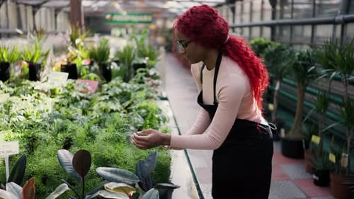 Woman Tending Plants in Greenhouse
