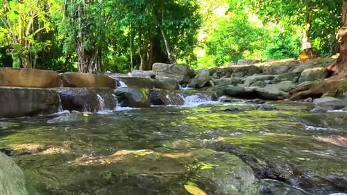 Klarer grüner Fluss im Wald. Humaira Badebecken. Urlaub, Reisen, Urlaub, Flitterwochen-Konzept
.