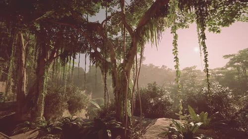 Dense Green Forest With Abundant Trees