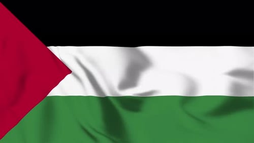 Flag of Palestine Waving with Realistic Fabric Motion