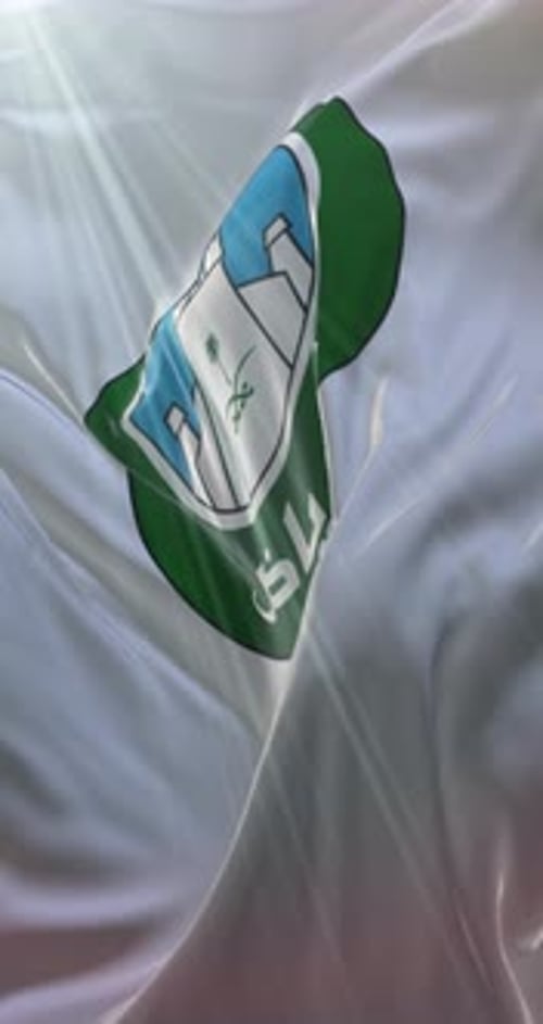 Realistic Waving Emblem Flag Loop for Vertical Content