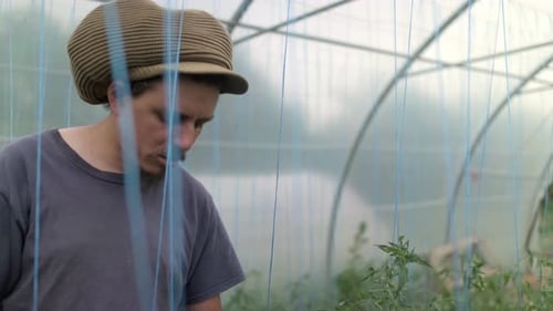 Happy young Asian male farmer smiling plant organic vegetable salad in the greenhouse, startup busin