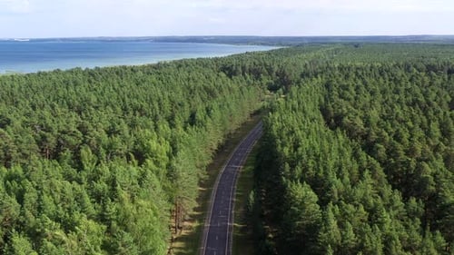 Aerial view of road through the green forest.
