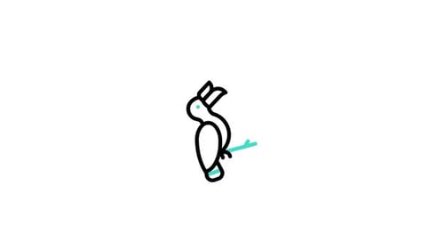 Minimalist Line Drawing Animation of a Bird