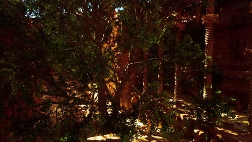 A Tree in the Middle of a Courtyard
