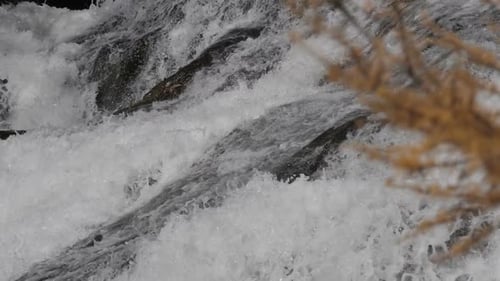 Rushing White Water Cascading Over Dark Rocks