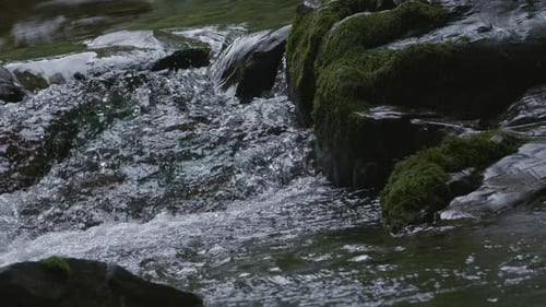 Nahaufnahme eines kleinen Wasserfalls im tropischen Regenwalddschungel