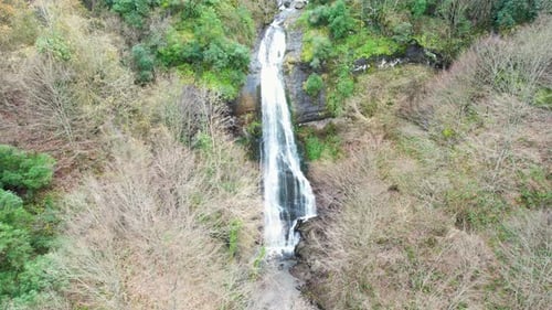 Aerial Waterfall and Forest