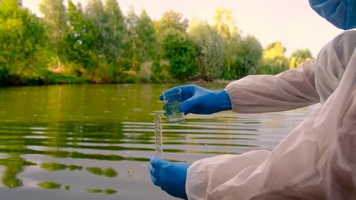 Conduct a Water Study on a River Selective Focus