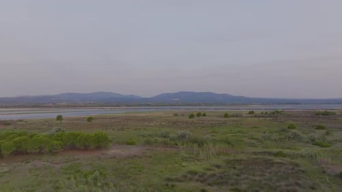 Aerial View of Grassy Landscape with Scattered Trees