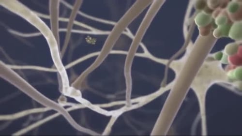 Microscopic View of Neuron and Virus Interaction in a Biological Process