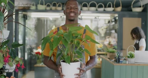 Portrait of African American Man in Apron Standing in Flower Shop Selling Green Plant Smiling