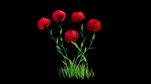 Flowers Red Growing Alpha Channel